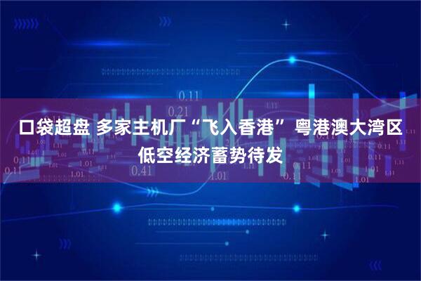 口袋超盘 多家主机厂“飞入香港” 粤港澳大湾区低空经济蓄势待发