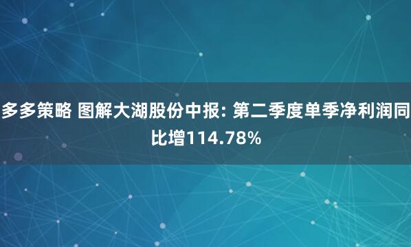 多多策略 图解大湖股份中报: 第二季度单季净利润同比增114.78%