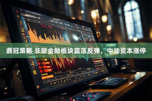 鼎冠策略 非银金融板块震荡反弹，中油资本涨停