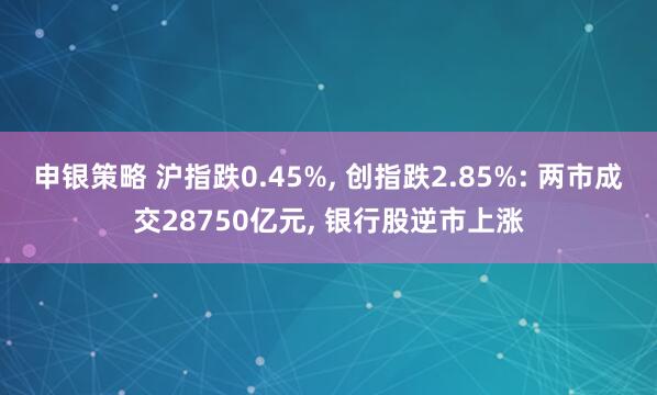 申银策略 沪指跌0.45%, 创指跌2.85%: 两市成交28750亿元, 银行股逆市上涨
