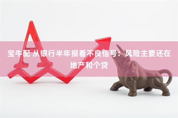 宝牛配 从银行半年报看不良信号：风险主要还在地产和个贷