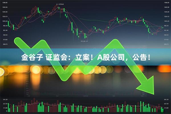 金谷子 证监会：立案！A股公司，公告！