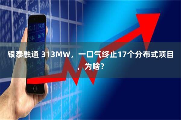 银泰融通 313MW,一口气终止17个分布式项目,为啥?
