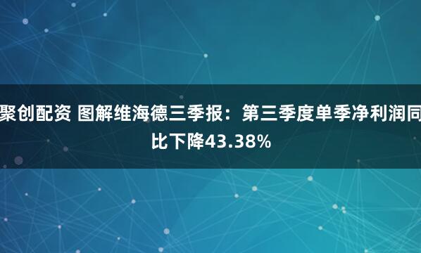 聚创配资 图解维海德三季报:第三季度单季净利润同比下降43.38%