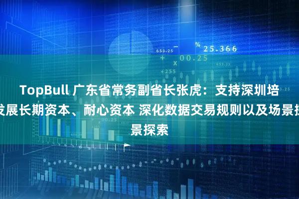 TopBull 广东省常务副省长张虎：支持深圳培育发展长期资本、耐心资本 深化数据交易规则以及场景探索
