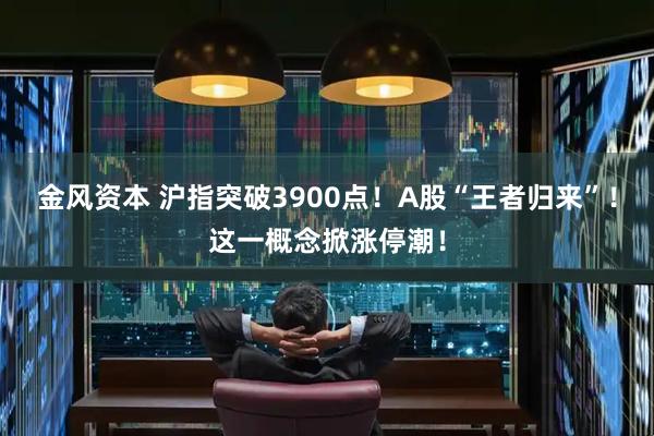 金风资本 沪指突破3900点!A股“王者归来”!这一概念掀涨停潮!