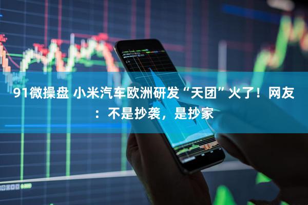 91微操盘 小米汽车欧洲研发“天团”火了！网友：不是抄袭，是抄家